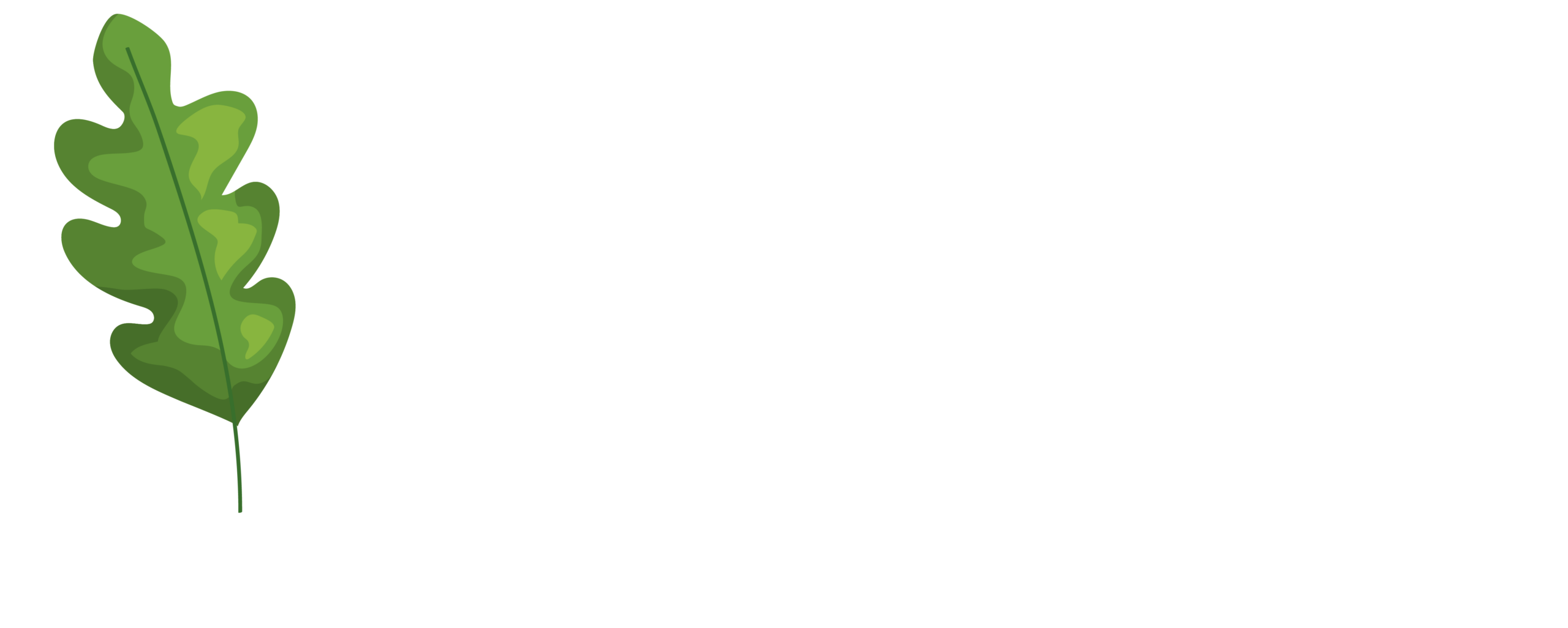 Kleine Camping 't Eikenbos