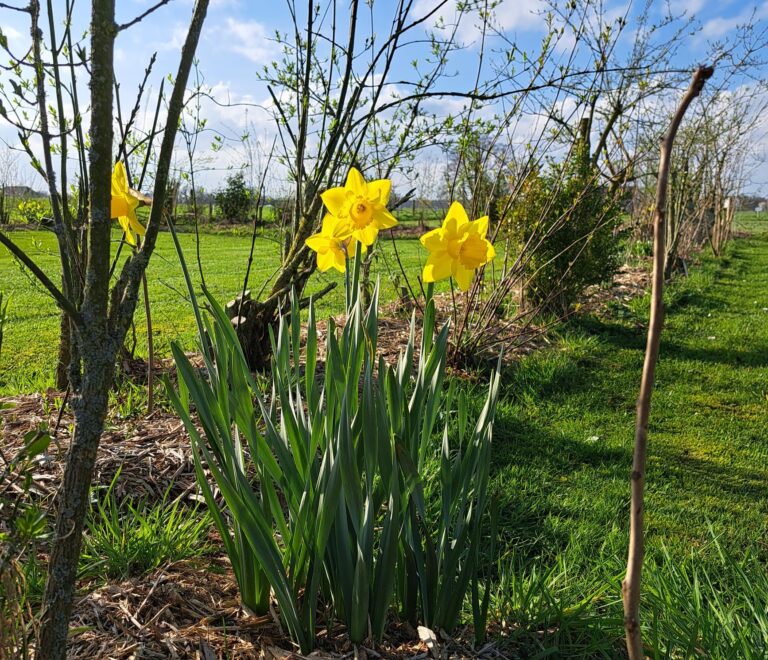 Arrangement Hemelvaart Pinksteren 2026